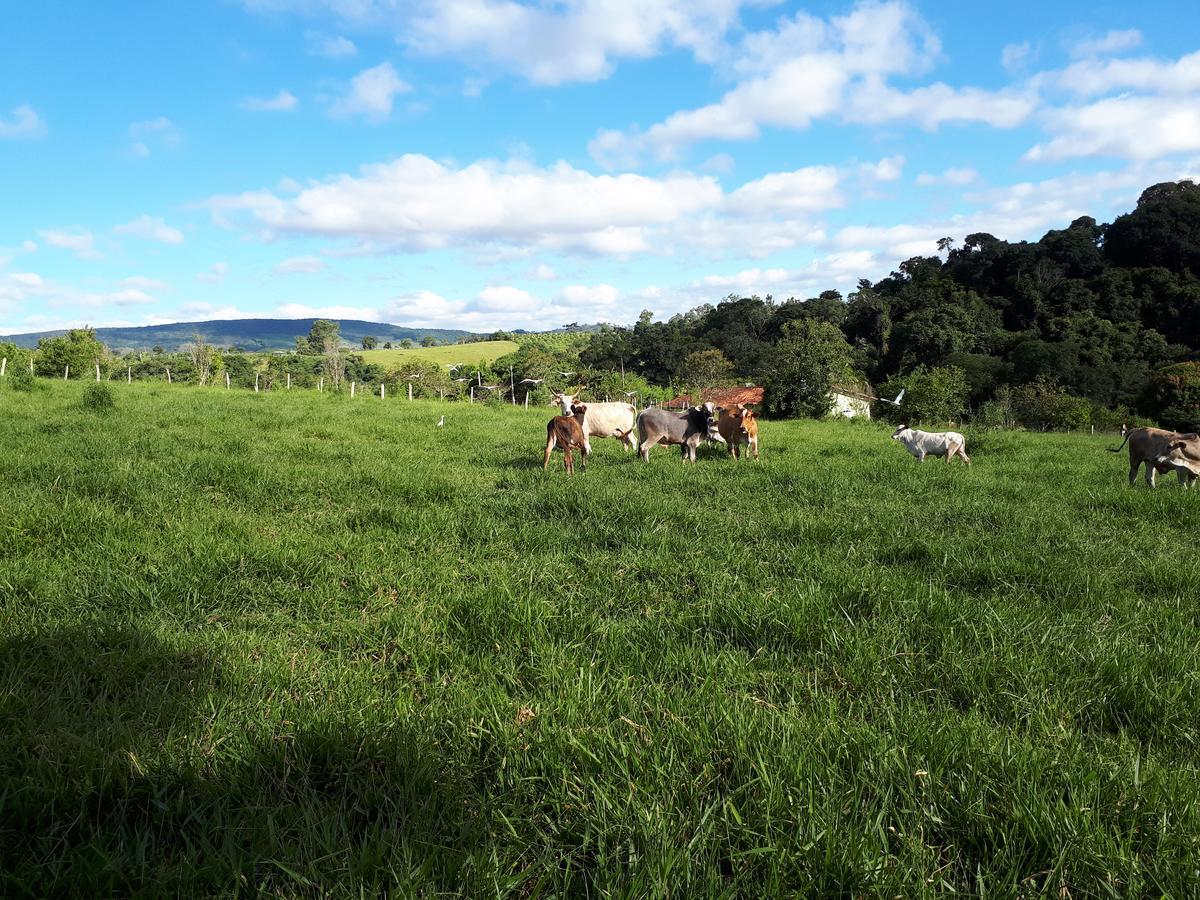 Chacara Leolud Villa Socorro  Luaran gambar