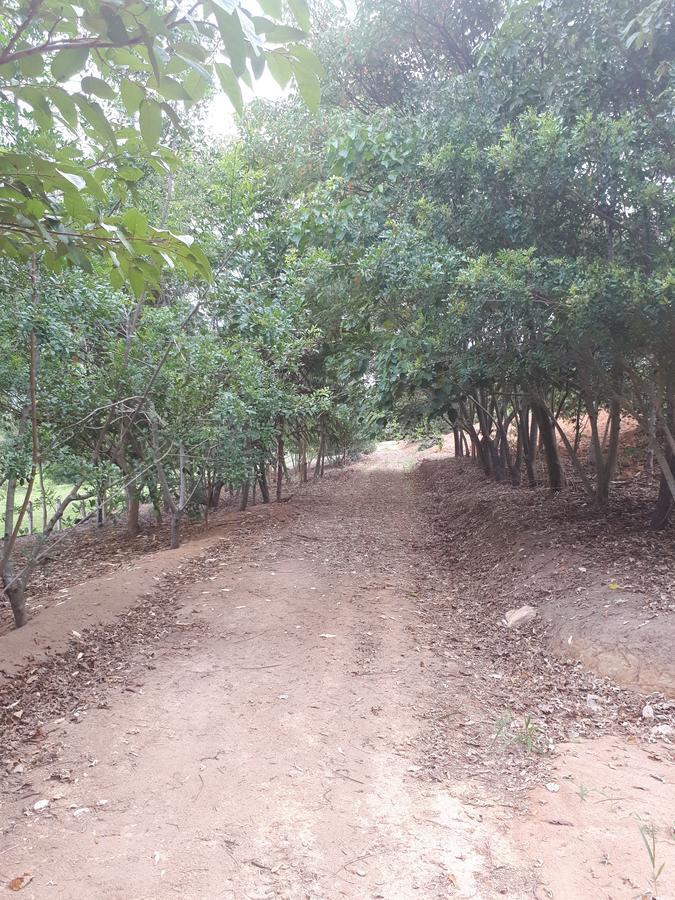 Chacara Leolud Villa Socorro  Luaran gambar