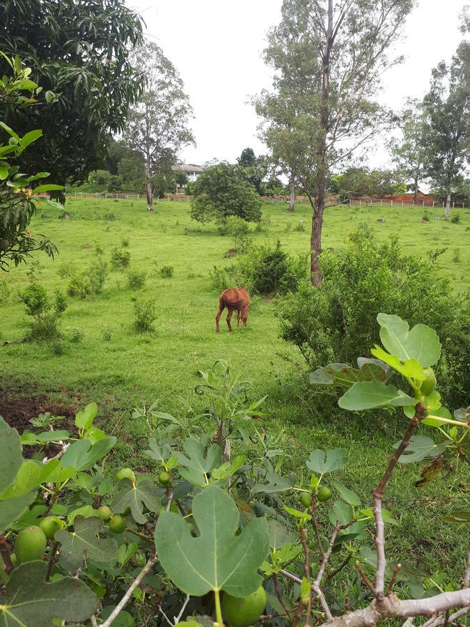 Chacara Leolud Villa Socorro  Luaran gambar